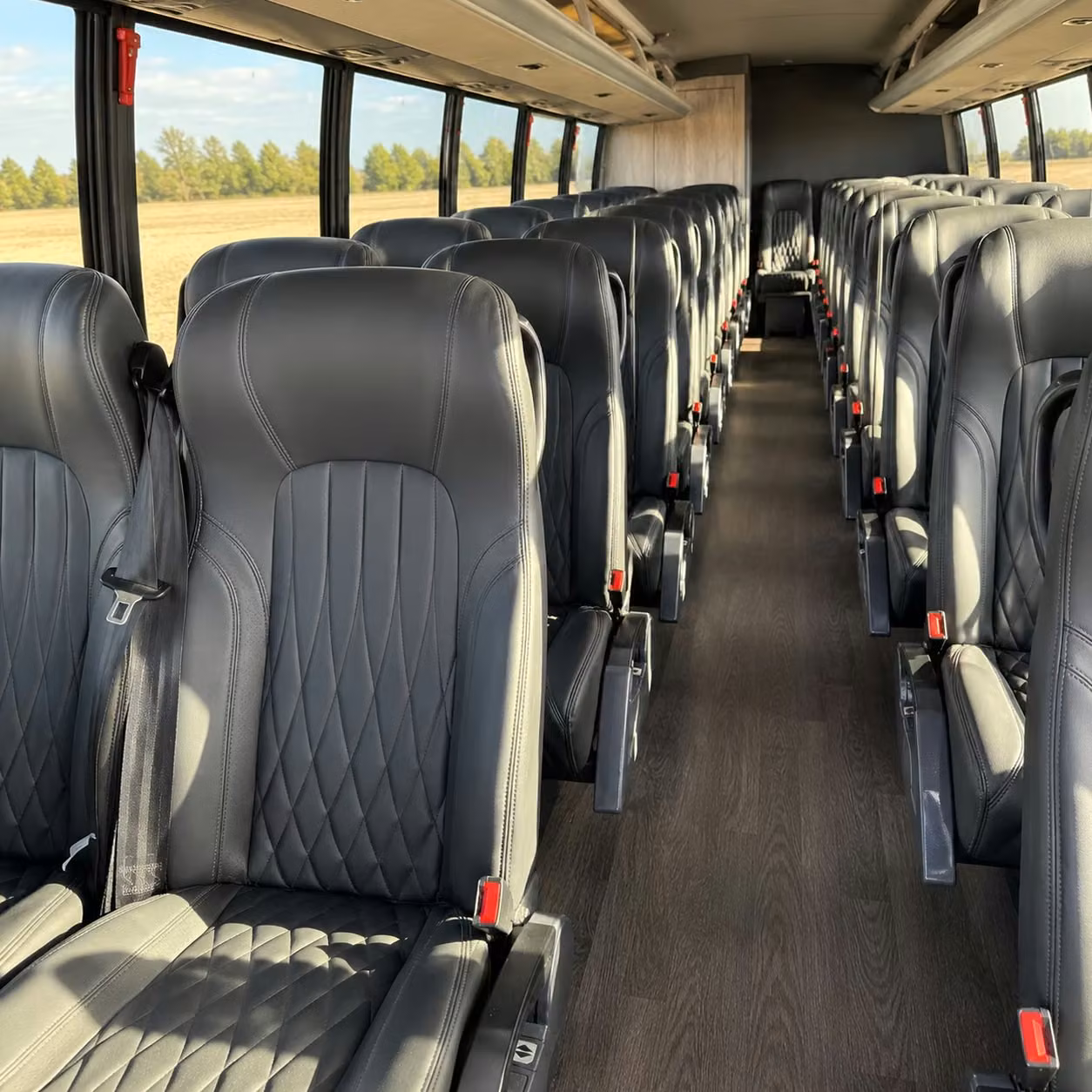 savannah 30 passenger minibus rental