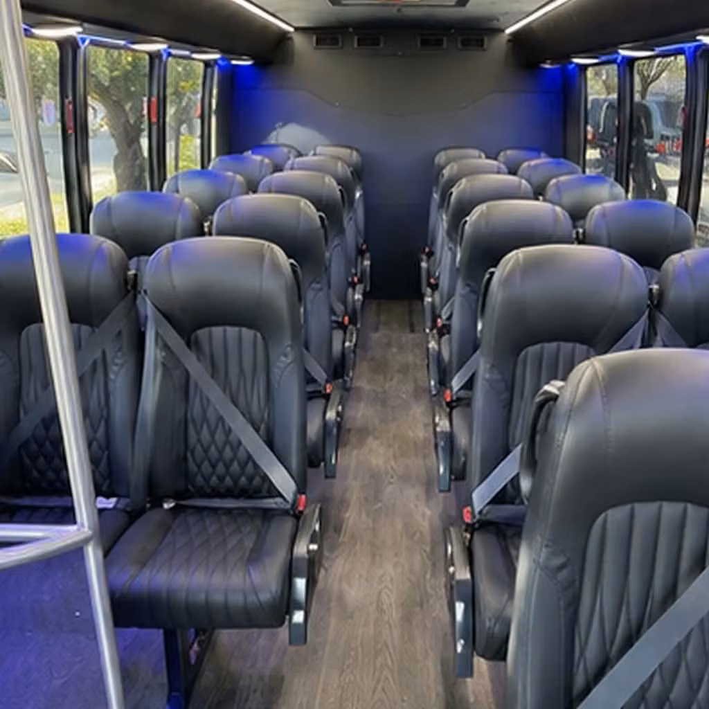 savannah prom limo bus and minibus rentals for every group size